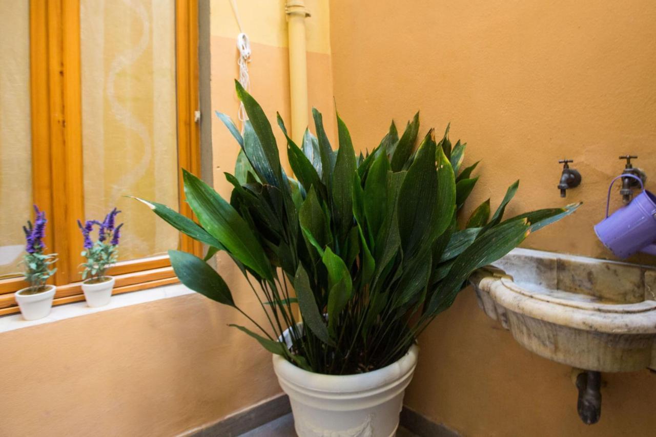 Charming Fiesolana Apartment In Heart Of Florenz Exterior foto